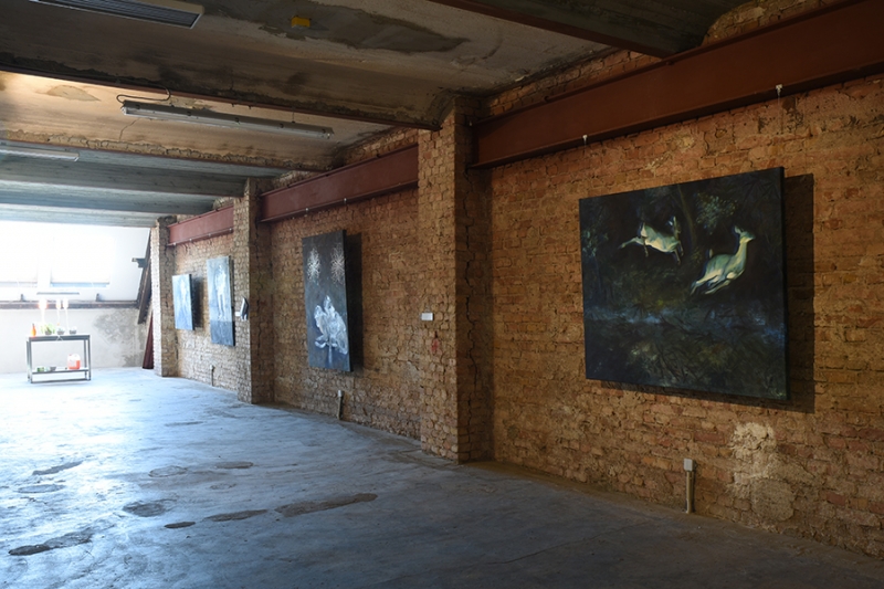 Installation view at 